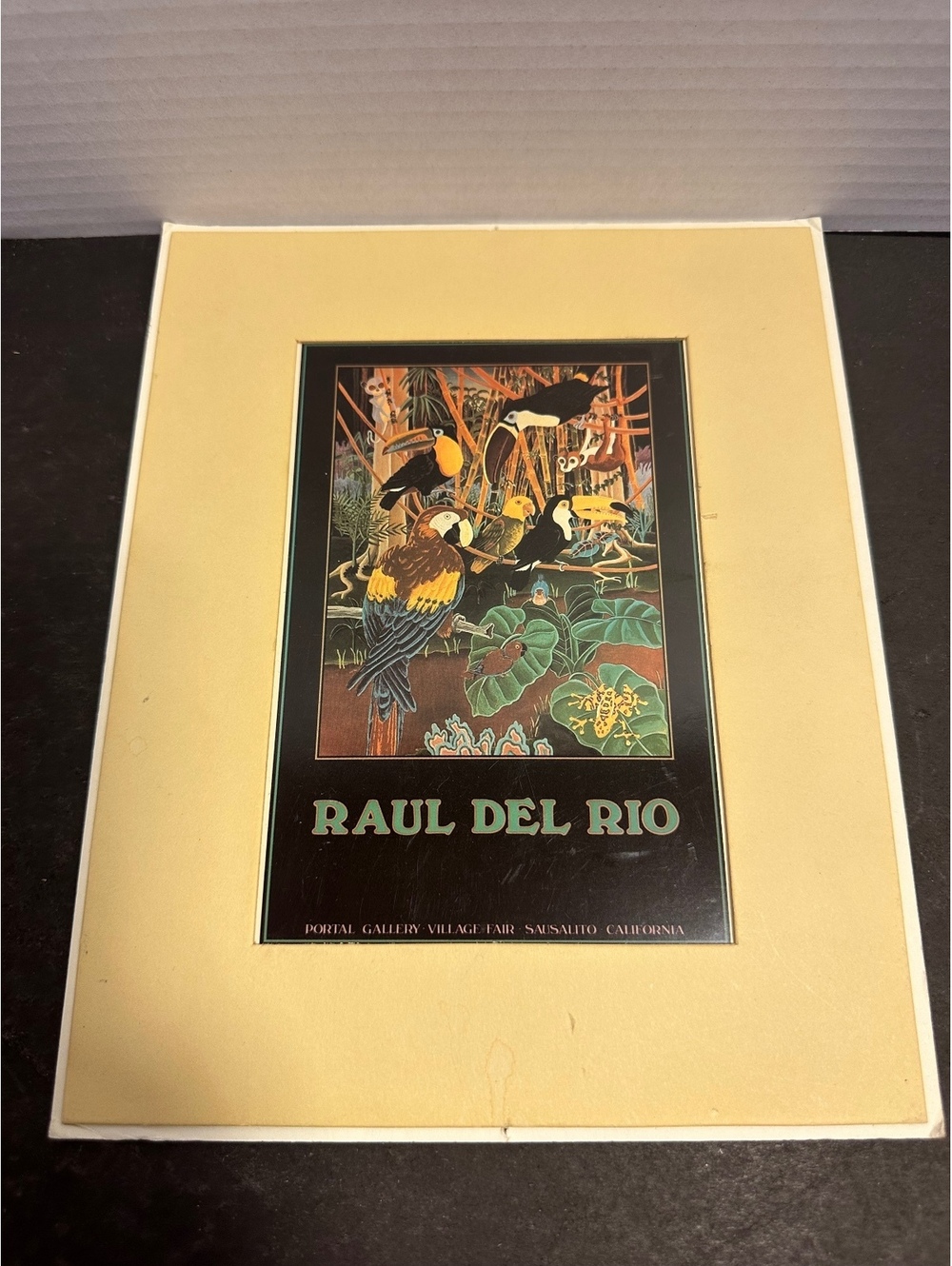 Vtg 1984 Raul Del Rio Birds Litho Print Portal Publications Matted Art 8x10